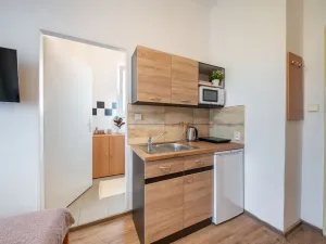 Pronájem bytu 1+kk, Znojmo, Vídeňská třída, 14 m2