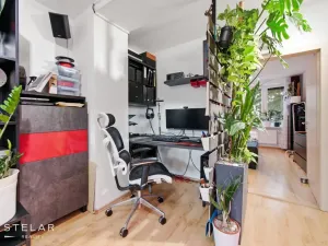 Prodej bytu 2+1, Brno, Renneská třída, 53 m2