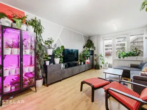 Prodej bytu 2+1, Brno, Renneská třída, 53 m2