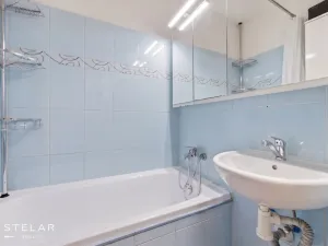 Prodej bytu 2+1, Brno, Renneská třída, 53 m2
