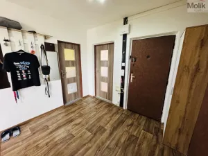 Prodej bytu 3+kk, Most, Josefa Ševčíka, 59 m2