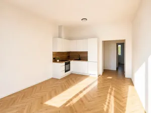 Pronájem bytu 2+kk, Praha - Smíchov, Hořejší nábřeží, 48 m2