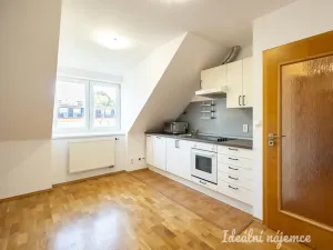 Pronájem bytu 2+1, Praha - Dejvice, Mydlářka, 55 m2