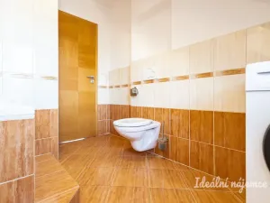 Pronájem bytu 2+1, Praha - Dejvice, Mydlářka, 55 m2