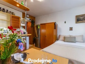Prodej bytu 1+kk, Znojmo, Přímětická, 21 m2