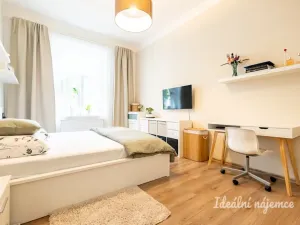 Pronájem bytu 2+kk, Praha - Žižkov, Hartigova, 45 m2