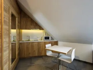 Prodej bytu 1+kk, Dolní Morava, 36 m2