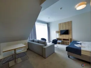 Prodej bytu 1+kk, Dolní Morava, 36 m2
