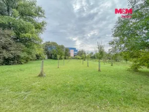 Prodej pole, Ostrožská Nová Ves - Chylice, 707 m2