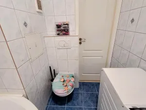 Prodej bytu 3+1, Jablonec nad Nisou - Jablonecké Paseky, Vysoká, 65 m2