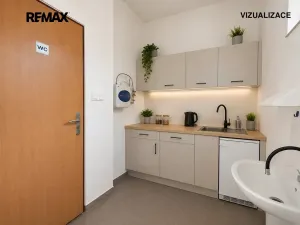Pronájem obchodního prostoru, Hodonín, Měšťanská, 42 m2