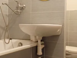 Pronájem bytu 1+kk, Ostrava - Moravská Ostrava, U Parku, 30 m2