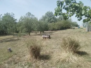 Prodej zahrady, Blížkovice, 767 m2