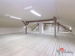 Prodej rodinného domu, Ostrava - Kunčičky, Rajnochova, 400 m2