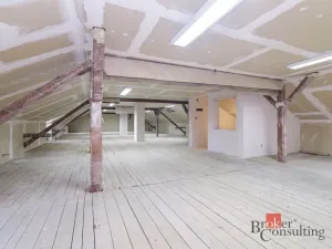 Prodej rodinného domu, Ostrava - Kunčičky, Rajnochova, 400 m2