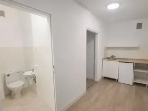 Prodej bytu 1+kk, Praha - Žižkov, Hartigova, 26 m2