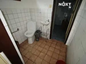 Prodej rodinného domu, Červené Janovice, 322 m2