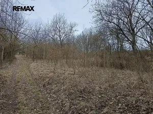 Prodej pozemku, Zábřeh, 3482 m2