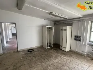 Pronájem výrobních prostor, Vratimov, Tovární, 1181 m2