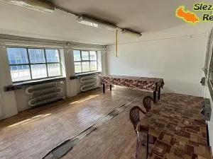 Pronájem výrobních prostor, Vratimov, Tovární, 1181 m2