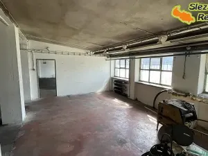 Pronájem výrobních prostor, Vratimov, Tovární, 1181 m2