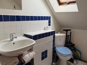 Prodej rodinného domu, Staré Hobzí, 536 m2