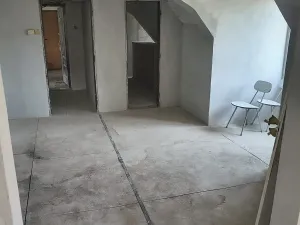 Prodej podílu vícegeneračního domu, Olšany, 831 m2