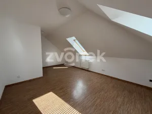 Pronájem rodinného domu, Luhačovice, Slunná, 283 m2