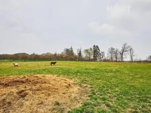 Prodej pozemku pro bydlení, Předslavice, 6532 m2