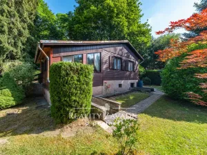 Prodej chaty, Pyšely, 60 m2