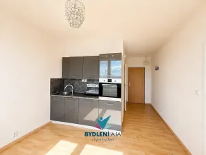 Pronájem bytu 1+1, Krupka, Karla Čapka, 36 m2