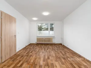Pronájem bytu 1+1, Děčín, Růžová, 35 m2