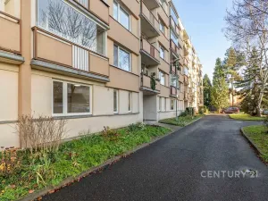 Pronájem bytu 1+1, Děčín, Růžová, 35 m2