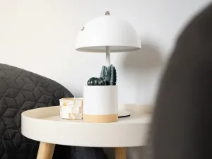 Pronájem bytu 2+kk, Pasohlávky, 53 m2