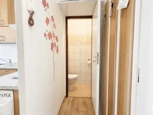 Pronájem bytu 1+1, Olomouc, Jílová, 32 m2