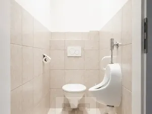Prodej rodinného domu, Nová Ves pod Pleší, 93 m2