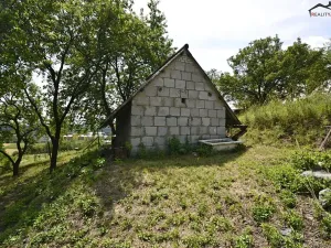 Prodej sadu/vinice, Bzenec, 2460 m2