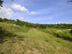 Prodej sadu/vinice, Bzenec, 2460 m2