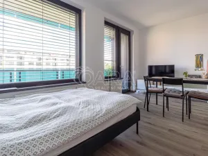 Pronájem bytu 1+kk, Praha - Žižkov, Olgy Havlové, 33 m2
