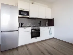 Pronájem bytu 1+kk, Praha - Žižkov, Olgy Havlové, 33 m2