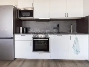 Pronájem bytu 1+kk, Praha - Žižkov, Olgy Havlové, 33 m2