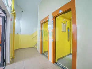 Pronájem bytu 1+1, Ostrava, Resslova, 29 m2