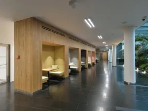 Pronájem kanceláře, Praha - Žižkov, Přemyslovská, 420 m2