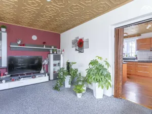 Prodej rodinného domu, Dolní Sokolovec, 269 m2