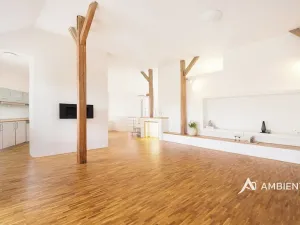 Prodej bytu 4+kk, Brno, Čápkova, 141 m2