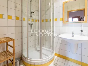 Pronájem atypického bytu, Praha - Vinohrady, Mánesova, 90 m2