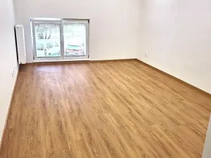 Pronájem bytu 2+1, Praha - Dejvice, Vítězné náměstí, 67 m2