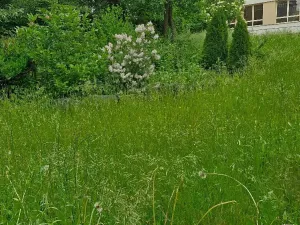 Pronájem obchodního prostoru, Bruntál, Nerudova, 60 m2