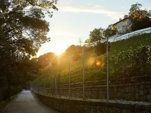 Prodej bytu 1+kk, Praha - Nusle, Bělehradská, 52 m2