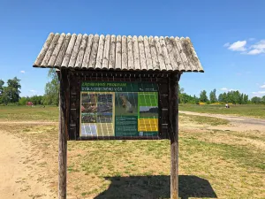 Prodej bytu 2+1, Mladá Boleslav, Na Radouči, 55 m2
